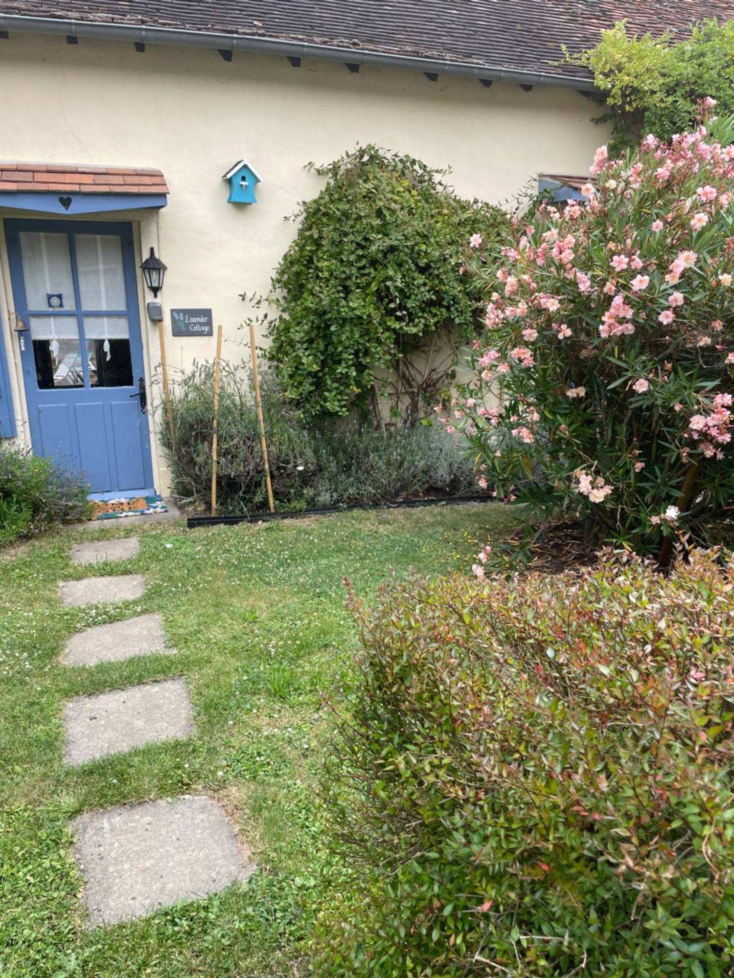 Lavender Cottage Chezelles  Exterior photo
